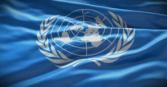 United Nations Flag