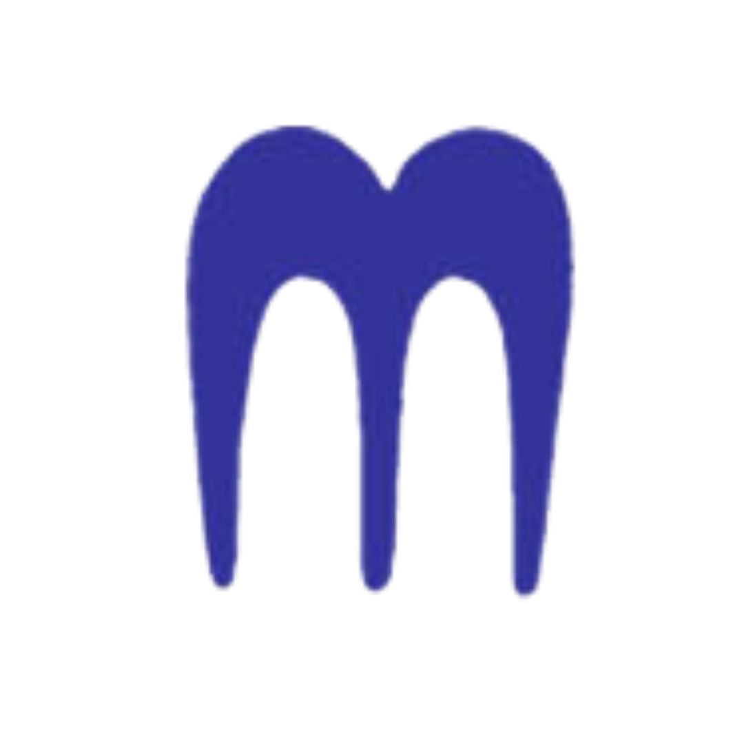 Maxiaids, Hable Authorized distributor in the USA for blind and visually impaired people