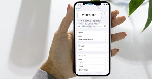VoiceOver is enabled on the screen.