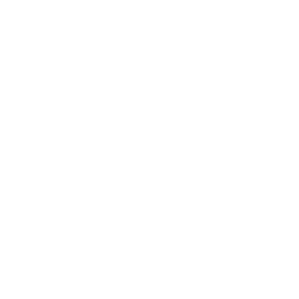 an Icon of a white flame